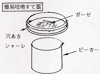 １８ その他の増殖測定法